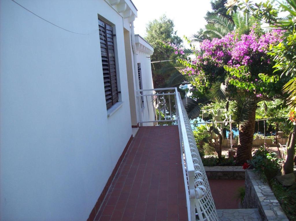 Captain'S Villa Molunat Chambre photo